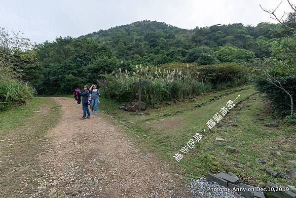 金瓜石地質公園10.jpg