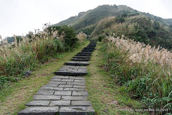 金瓜石地質公園步道21