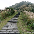 金瓜石地質公園步道21