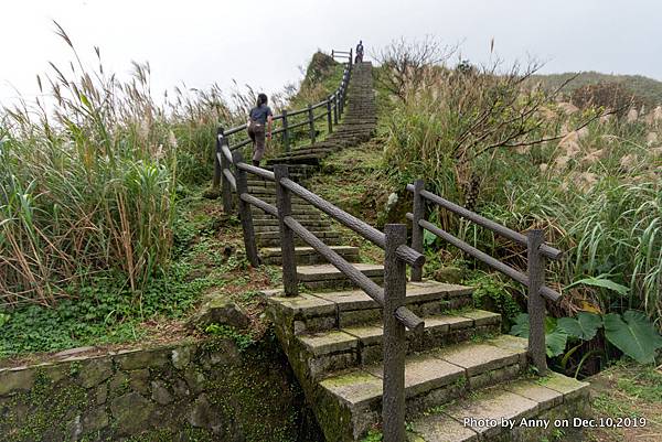 金瓜石地質公園24.jpg