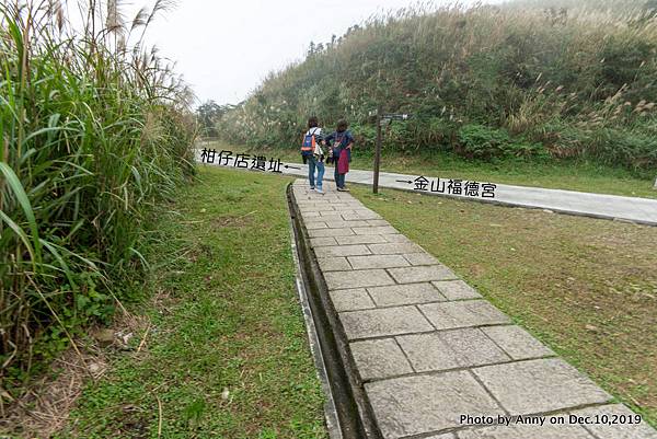 金瓜石地質公園步道35