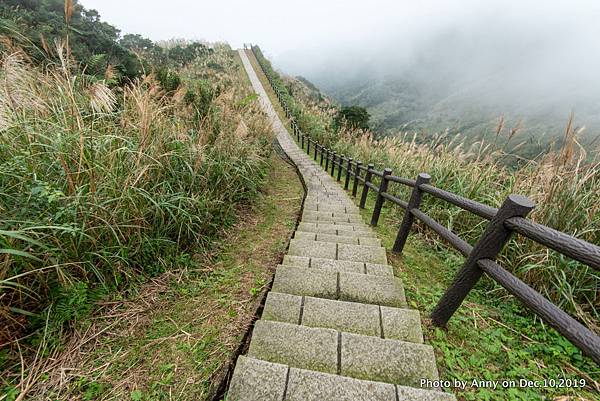 金瓜石地質公園 無敵海景步道38