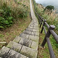 金瓜石地質公園 無敵海景步道39