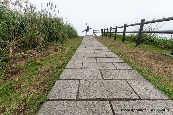 金瓜石地質公園 無敵海景步道41