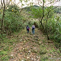 金瓜石地質公園 石尾路步道45