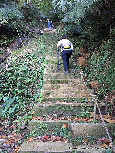 皇帝殿北峰－東峰步道41.jpg