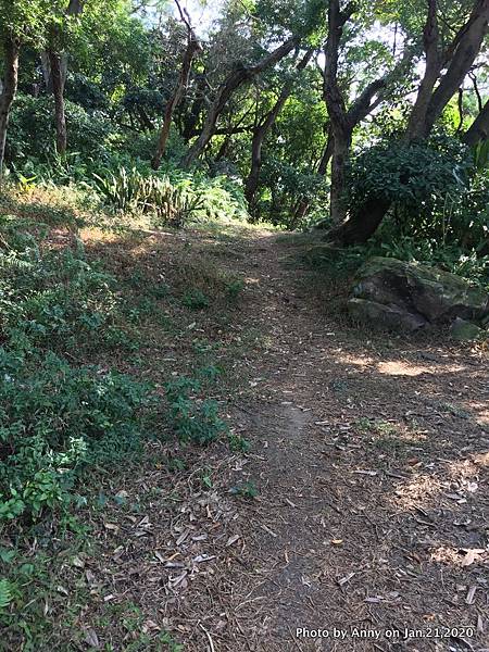 奇岩山－唭哩岸山步道8.JPG