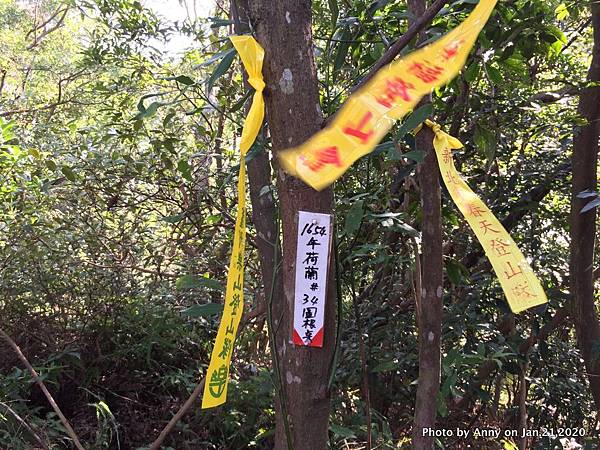 奇岩山－唭哩岸山步道26.JPG