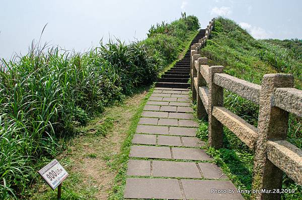 鼻頭角稜谷步道4.jpg