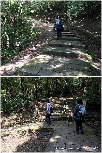 新山夢湖登山步道4.jpg