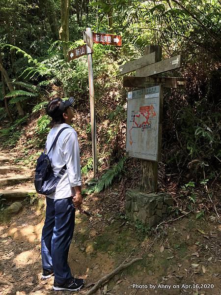 新山夢湖登山步道30.jpg