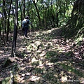 新山夢湖登山步道29.jpg