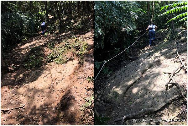 新山夢湖登山步道6.jpg