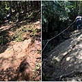 新山夢湖登山步道6.jpg