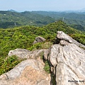 新山夢湖登山步道 汐止新山18