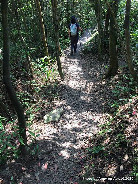 新山夢湖登山步道41.jpg