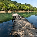 新山夢湖登山步道 汐止夢湖25