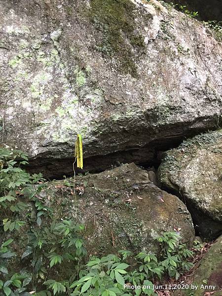 新竹油羅山步道15.JPG