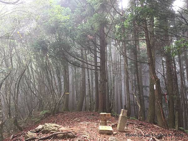 新竹油羅山步道30.JPG