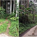 新竹油羅山步道第二登山口7