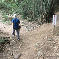 苗栗火炎山步道17