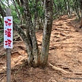 苗栗火炎山步道31