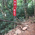 苗栗火炎山步道36