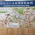 拉拉山巨木群步道地圖45