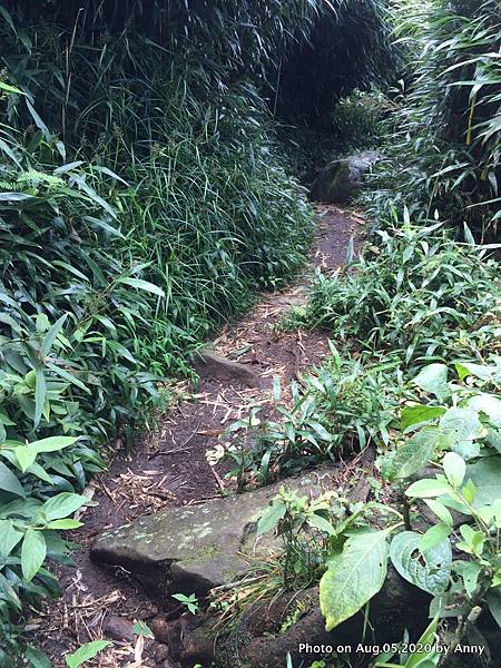 陽明山小觀音山步道15