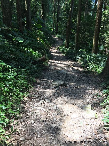 雲森瀑布步道18.jpg