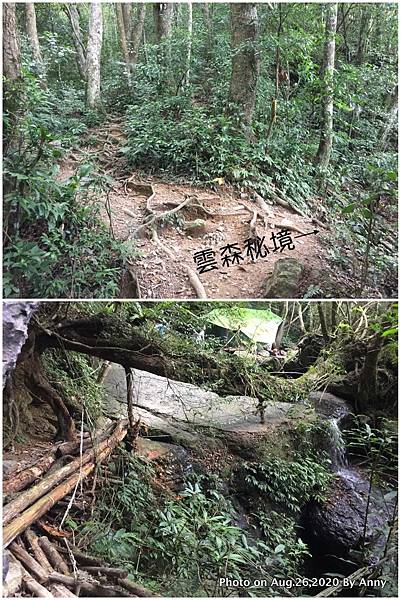 雲森瀑布步道 雲森秘境5