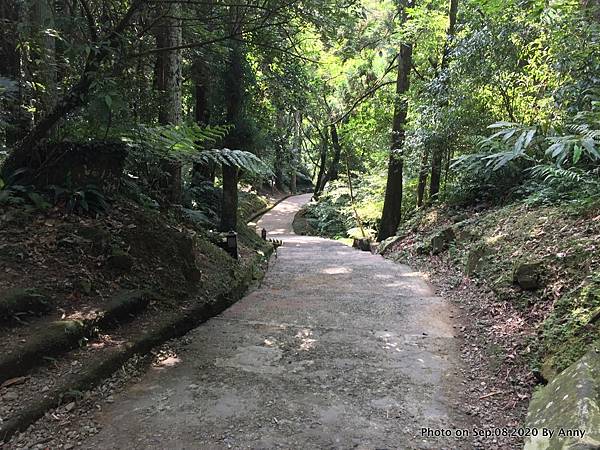 東眼山自導式步道12.JPG