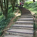 東眼山自導式步道16.JPG