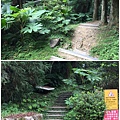 東眼山自導式步道6.JPG