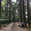 東眼山森林知性步道11