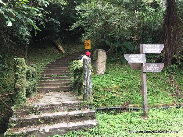 東眼山親子峰步道20.JPG