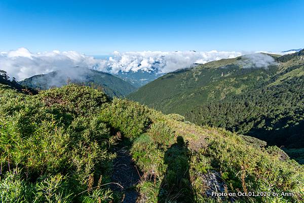 合歡山主峰步道9.jpg