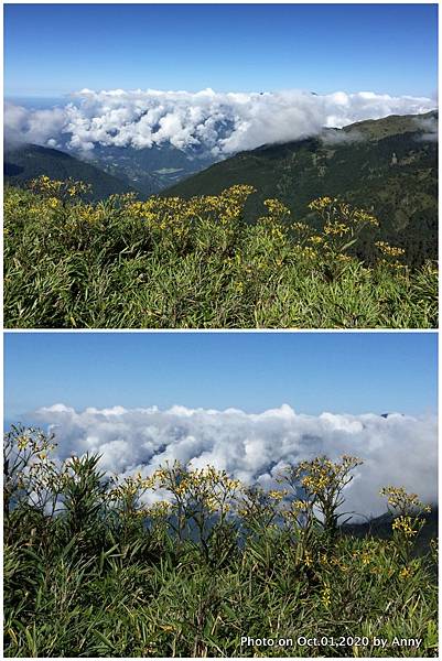 合歡山主峰步道2.jpg