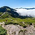 合歡山主峰步道18.jpg