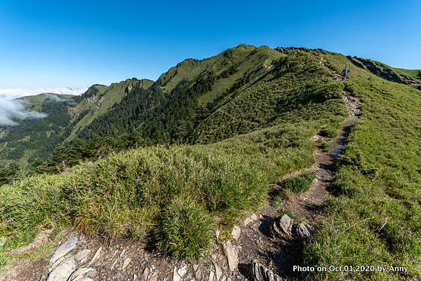 合歡山主峰步道14.jpg