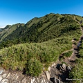 合歡山主峰步道14.jpg