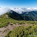 合歡山主峰步道17.jpg