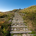 合歡山主峰步道23.jpg