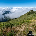 合歡山主峰步道26.jpg