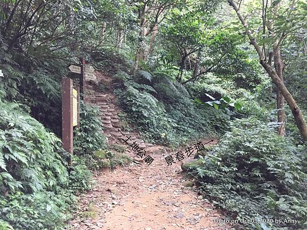 桃園石門山登山步道14.jpg