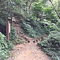 桃園石門山登山步道14.jpg