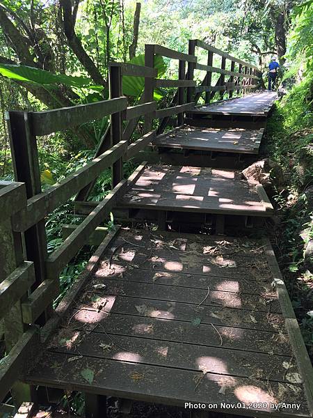 花蓮撒固兒步道19.jpg