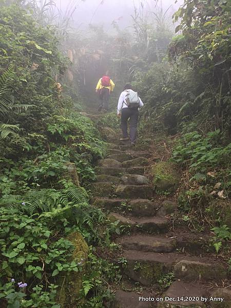 馬那邦山步道13.JPG