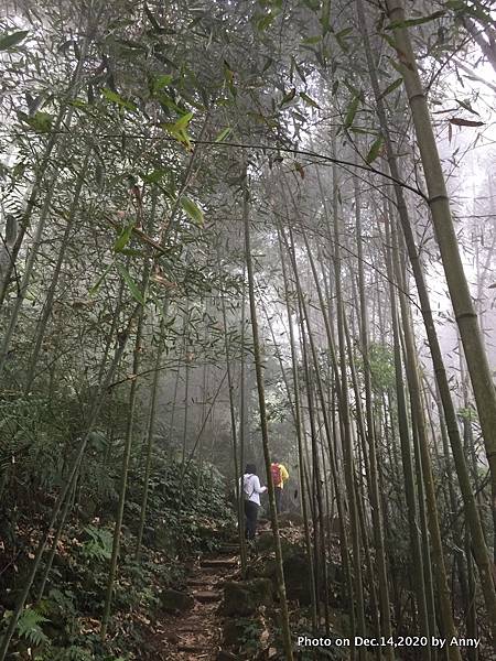 馬那邦山步道15.JPG