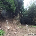 馬那邦山步道20.JPG